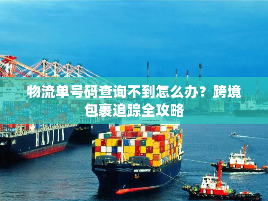物流单号码查询不到怎么办？跨境包裹追踪全攻略