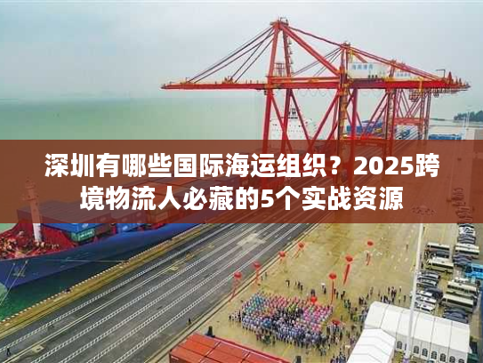 深圳有哪些国际海运组织？2025跨境物流人必藏的5个实战资源