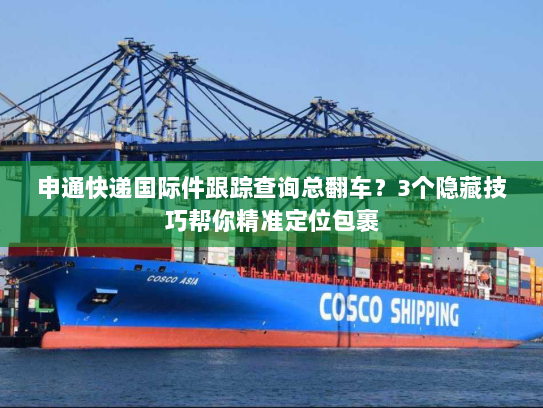 申通快递国际件跟踪查询总翻车？3个隐藏技巧帮你精准定位包裹