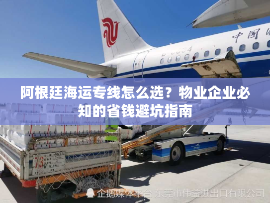 阿根廷海运专线怎么选？物业企业必知的省钱避坑指南