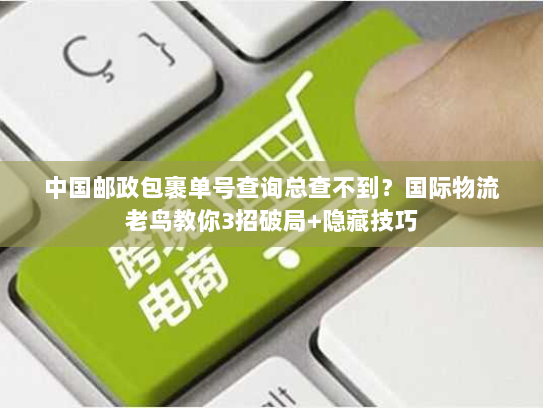 中国邮政包裹单号查询总查不到？国际物流老鸟教你3招破局+隐藏技巧