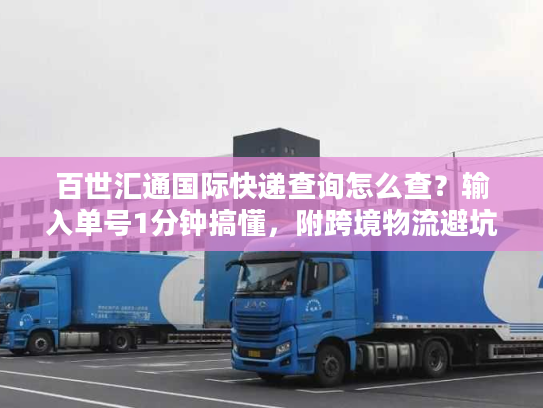 百世汇通国际快递查询怎么查？输入单号1分钟搞懂，附跨境物流避坑技巧