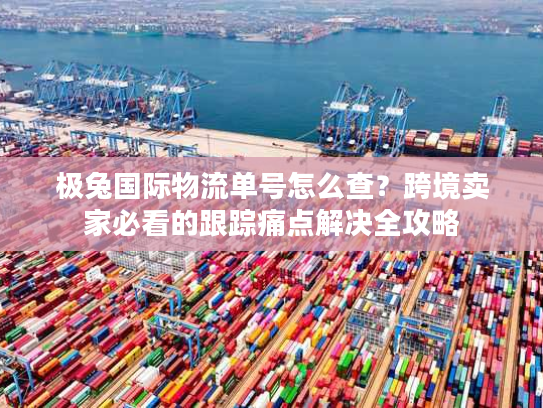 极兔国际物流单号怎么查？跨境卖家必看的跟踪痛点解决全攻略