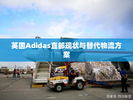 英国Adidas直邮现状与替代物流方案 英国Adidas直邮现状与替代物流方案