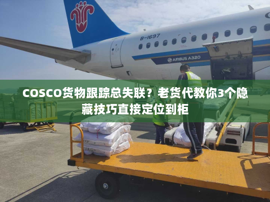 COSCO货物跟踪总失联？老货代教你3个隐藏技巧直接定位到柜