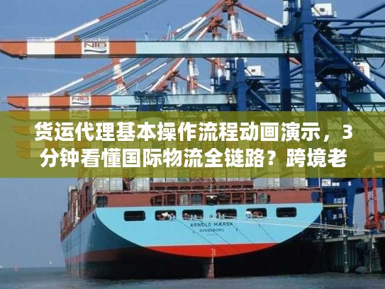 货运代理基本操作流程动画演示，3分钟看懂国际物流全链路？跨境老司机都在收藏！