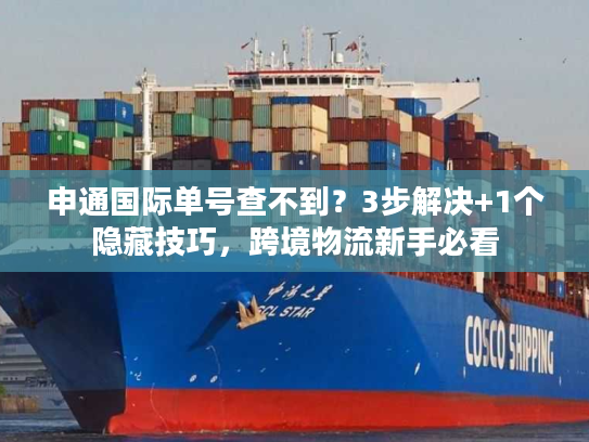 申通国际单号查不到？3步解决+1个隐藏技巧，跨境物流新手必看