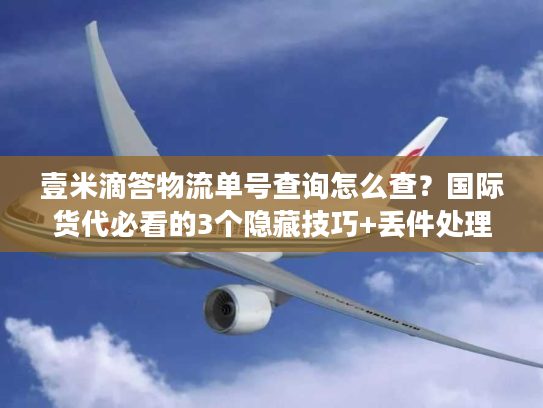 壹米滴答物流单号查询怎么查？国际货代必看的3个隐藏技巧+丢件处理实战
