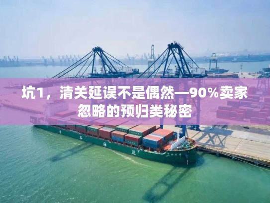 坑1，清关延误不是偶然—90%卖家忽略的预归类秘密