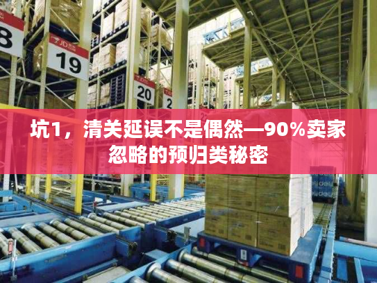 坑1，清关延误不是偶然—90%卖家忽略的预归类秘密