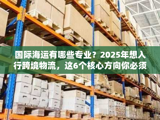 国际海运有哪些专业？2025年想入行跨境物流，这6个核心方向你必须了解！