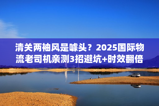 清关两袖风是噱头？2025国际物流老司机亲测3招避坑+时效翻倍秘籍