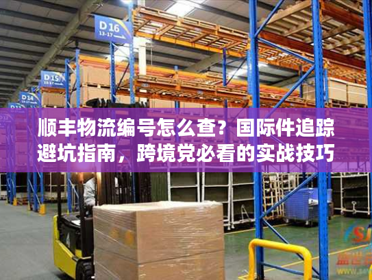 顺丰物流编号怎么查？国际件追踪避坑指南，跨境党必看的实战技巧