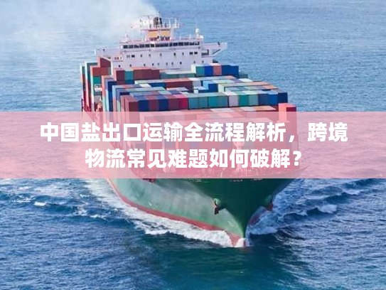 中国盐出口运输全流程解析，跨境物流常见难题如何破解？