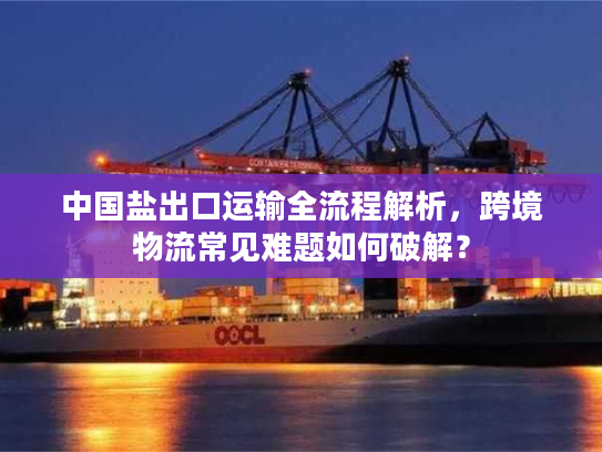 中国盐出口运输全流程解析，跨境物流常见难题如何破解？