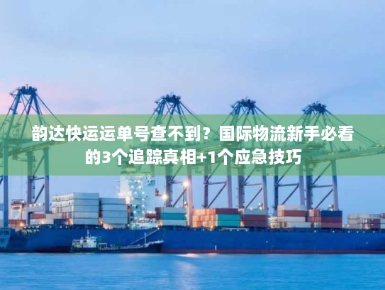 韵达快运运单号查不到？国际物流新手必看的3个追踪真相+1个应急技巧