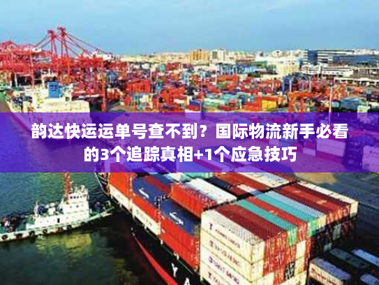 韵达快运运单号查不到？国际物流新手必看的3个追踪真相+1个应急技巧