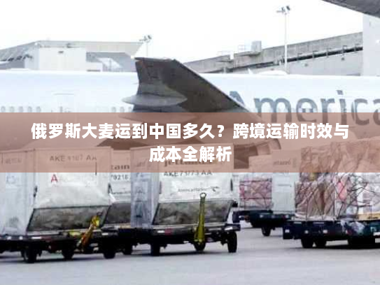 俄罗斯大麦运到中国多久?跨境运输时效与成本全解析 俄罗斯大麦运到中国多久?跨境运输时效与成本全解析