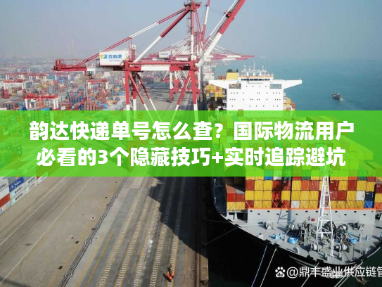 韵达快递单号怎么查？国际物流用户必看的3个隐藏技巧+实时追踪避坑指南