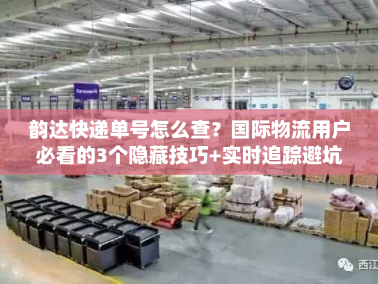 韵达快递单号怎么查？国际物流用户必看的3个隐藏技巧+实时追踪避坑指南