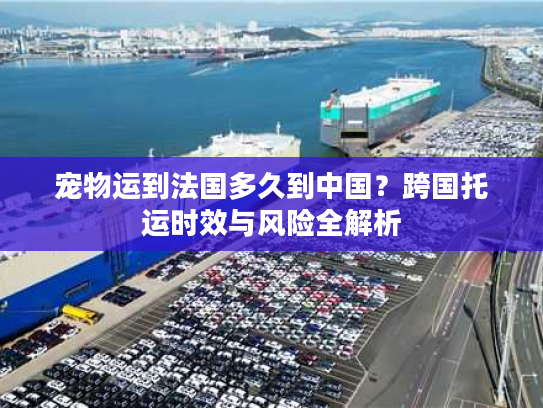 宠物运到法国多久到中国？跨国托运时效与风险全解析