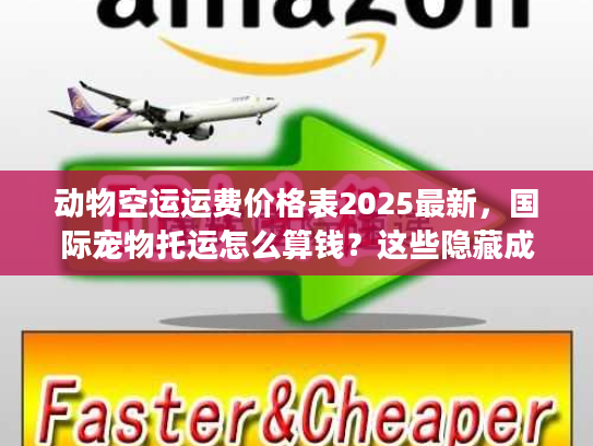 动物空运运费价格表2025最新，国际宠物托运怎么算钱？这些隐藏成本别踩坑！