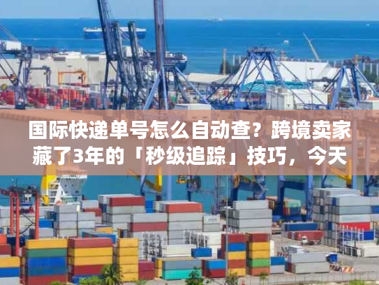 国际快递单号怎么自动查？跨境卖家藏了3年的「秒级追踪」技巧，今天说透！