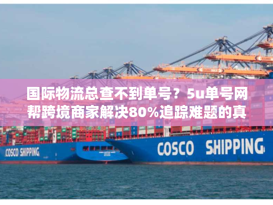 国际物流总查不到单号?5u单号网帮跨境商家解决80%追踪难题的真实案例 国际物流总查不到单号?5u单号网帮跨境商家解决80%追踪难题的真实案例