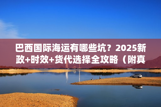 巴西国际海运有哪些坑？2025新政+时效+货代选择全攻略（附真实案例）