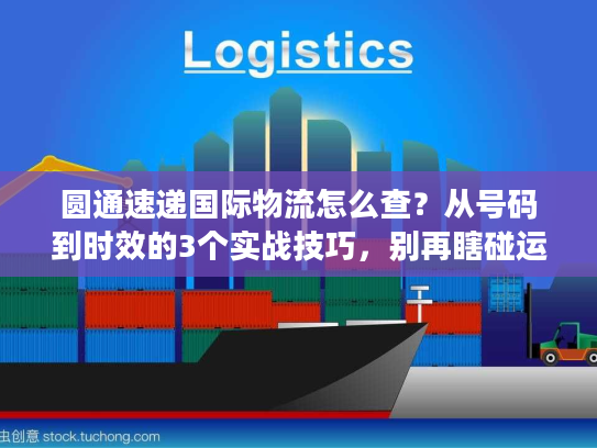 圆通速递国际物流怎么查?从号码到时效的3个实战技巧,别再瞎碰运气 圆通速递国际物流怎么查?从号码到时效的3个实战技巧,别再瞎碰运气
