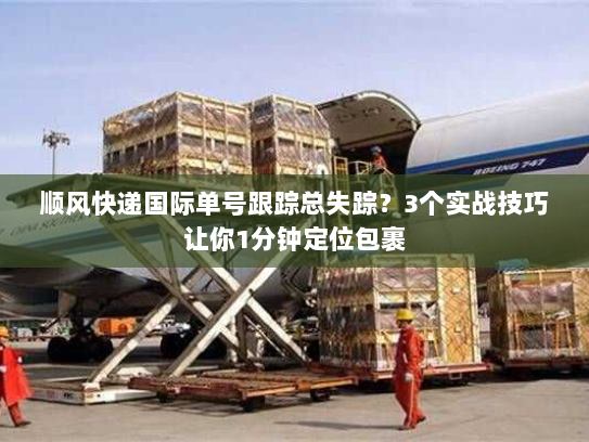 顺风快递国际单号跟踪总失踪？3个实战技巧让你1分钟定位包裹