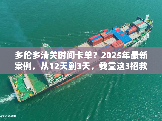 多伦多清关时间卡单？2025年最新案例，从12天到3天，我靠这3招救了订单！