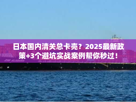 日本国内清关总卡壳？2025最新政策+3个避坑实战案例帮你秒过！