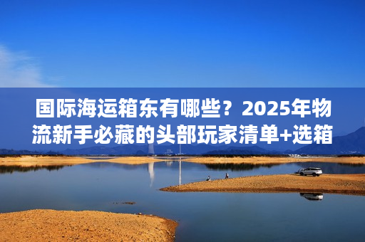 国际海运箱东有哪些？2025年物流新手必藏的头部玩家清单+选箱实战技巧