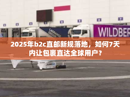 2025年b2c直邮新规落地，如何7天内让包裹直达全球用户？