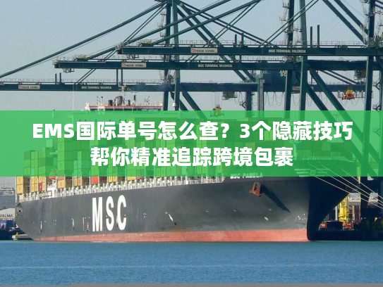 EMS国际单号怎么查？3个隐藏技巧帮你精准追踪跨境包裹