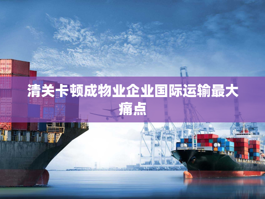 清关卡顿成物业企业国际运输最大痛点