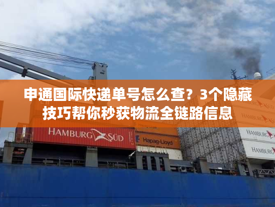 申通国际快递单号怎么查？3个隐藏技巧帮你秒获物流全链路信息