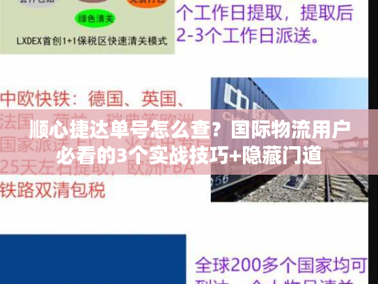 顺心捷达单号怎么查？国际物流用户必看的3个实战技巧+隐藏门道