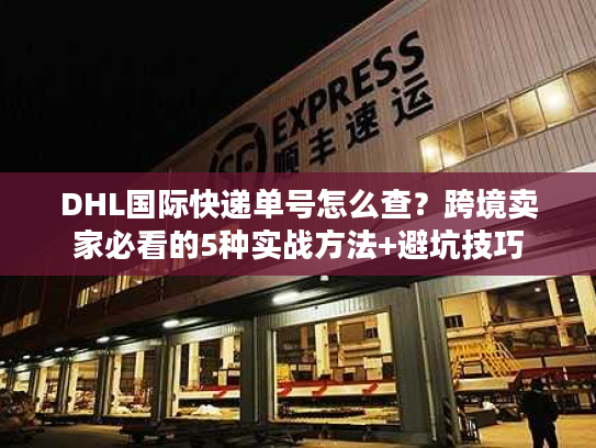 DHL国际快递单号怎么查？跨境卖家必看的5种实战方法+避坑技巧