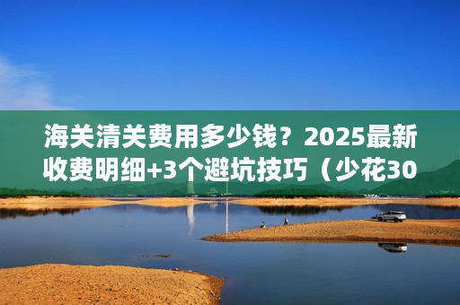 海关清关费用多少钱？2025最新收费明细+3个避坑技巧（少花30%的实战方法）