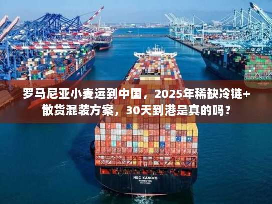 罗马尼亚小麦运到中国，2025年稀缺冷链+散货混装方案，30天到港是真的吗？