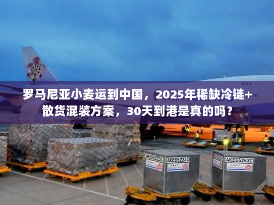 罗马尼亚小麦运到中国，2025年稀缺冷链+散货混装方案，30天到港是真的吗？