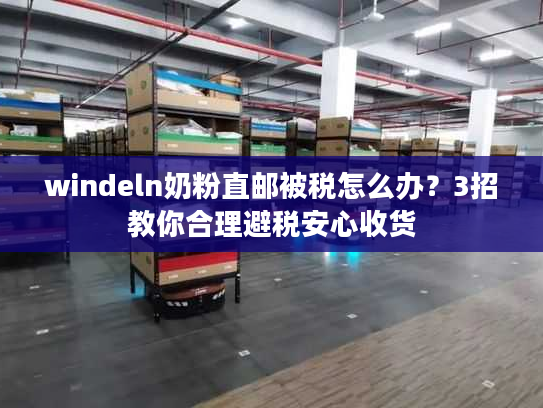 windeln奶粉直邮被税怎么办？3招教你合理避税安心收货