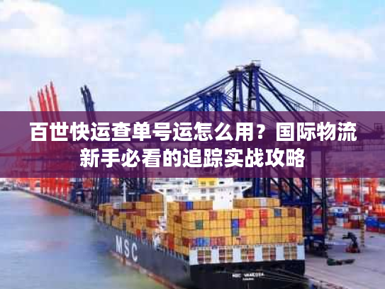 百世快运查单号运怎么用？国际物流新手必看的追踪实战攻略