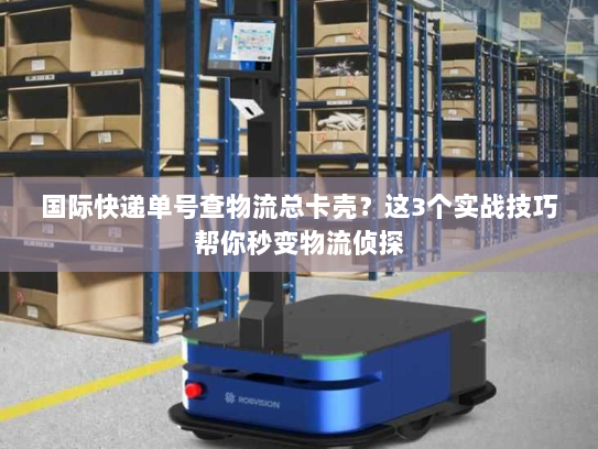 国际快递单号查物流总卡壳？这3个实战技巧帮你秒变物流侦探