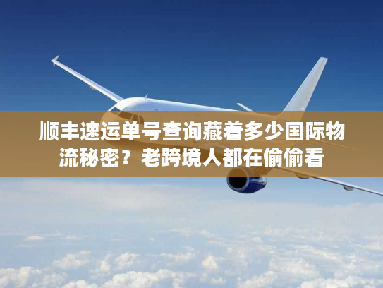 顺丰速运单号查询藏着多少国际物流秘密？老跨境人都在偷偷看