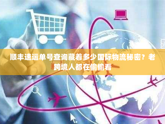 顺丰速运单号查询藏着多少国际物流秘密？老跨境人都在偷偷看