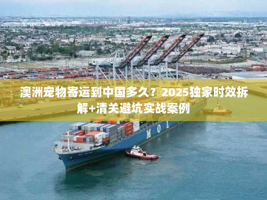 澳洲宠物寄运到中国多久？2025独家时效拆解+清关避坑实战案例