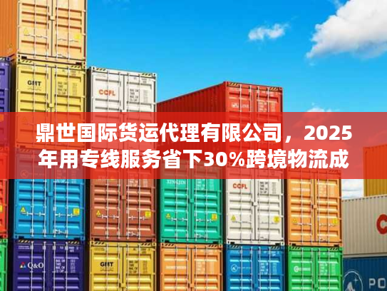 鼎世国际货运代理有限公司，2025年用专线服务省下30%跨境物流成本的秘诀